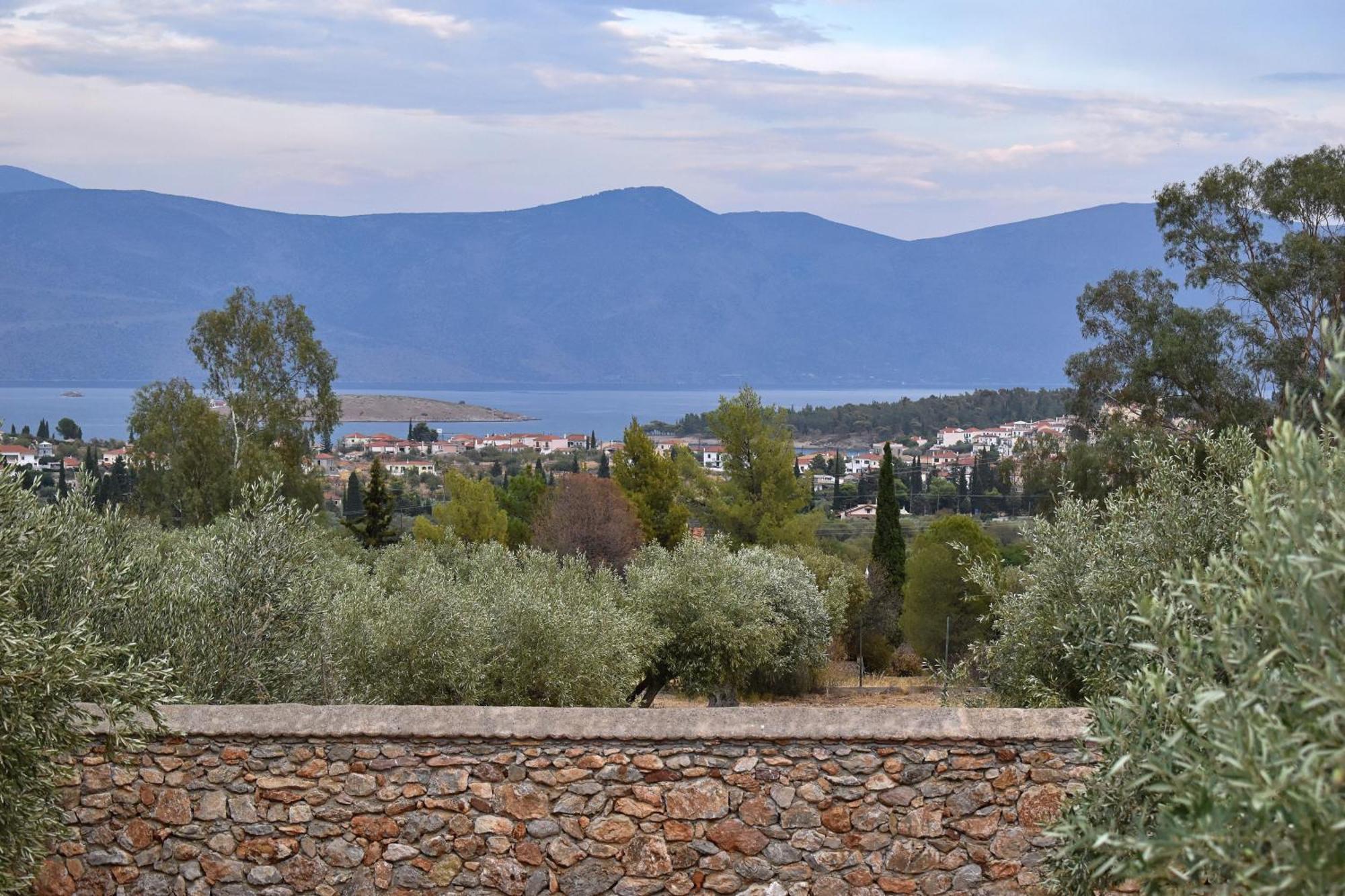 Villa In The Olive Trees Galaxídhion 外观 照片