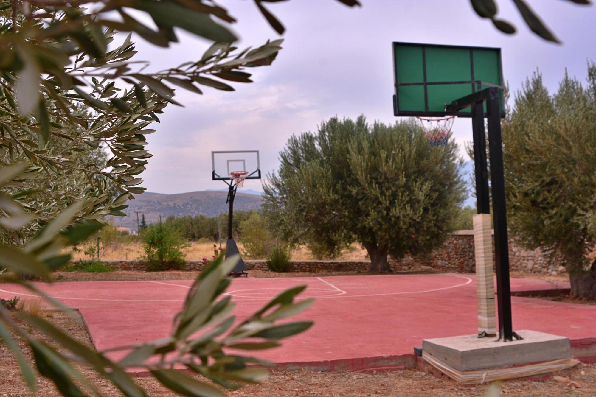Villa In The Olive Trees Galaxídhion 外观 照片